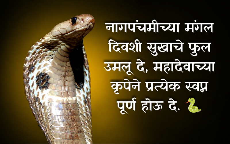 Nag Panchami Wishes In Marathi